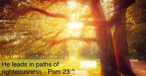 Paths of Righteousness – The Prayer Sentry